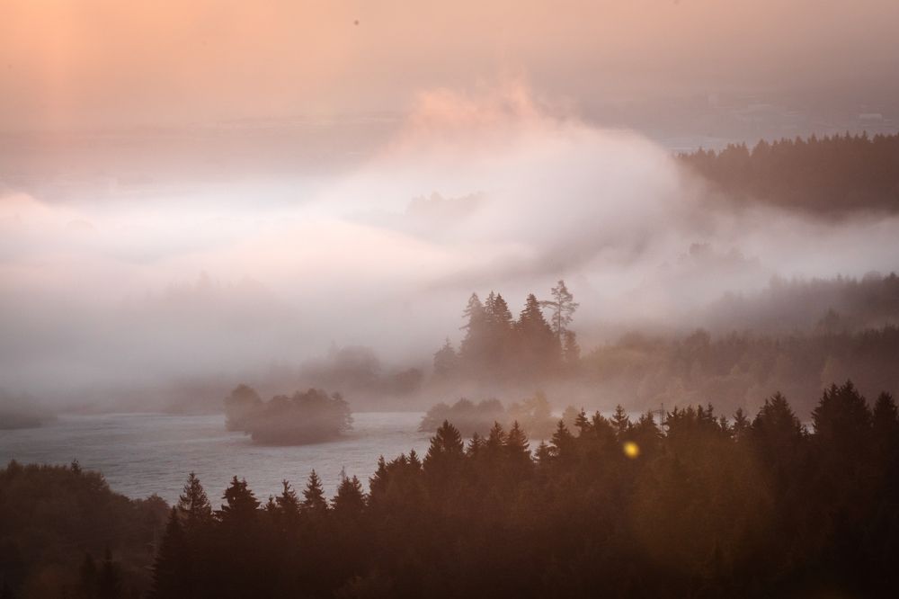 Photograph by Denisa Miazdrová