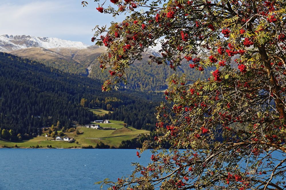 Photograph by Андрей Закревский