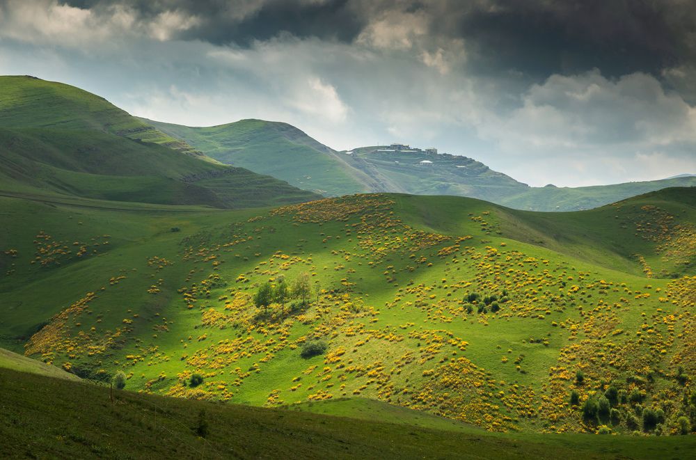 Photograph by Елена Покрепа