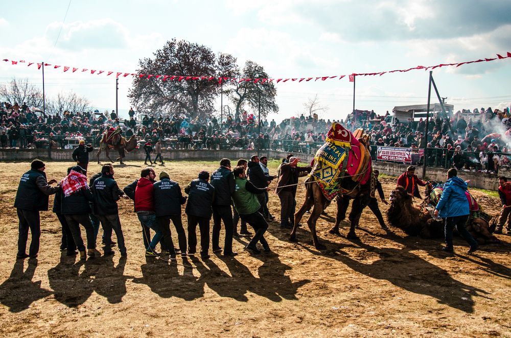 Photograph by Muhammed Diler