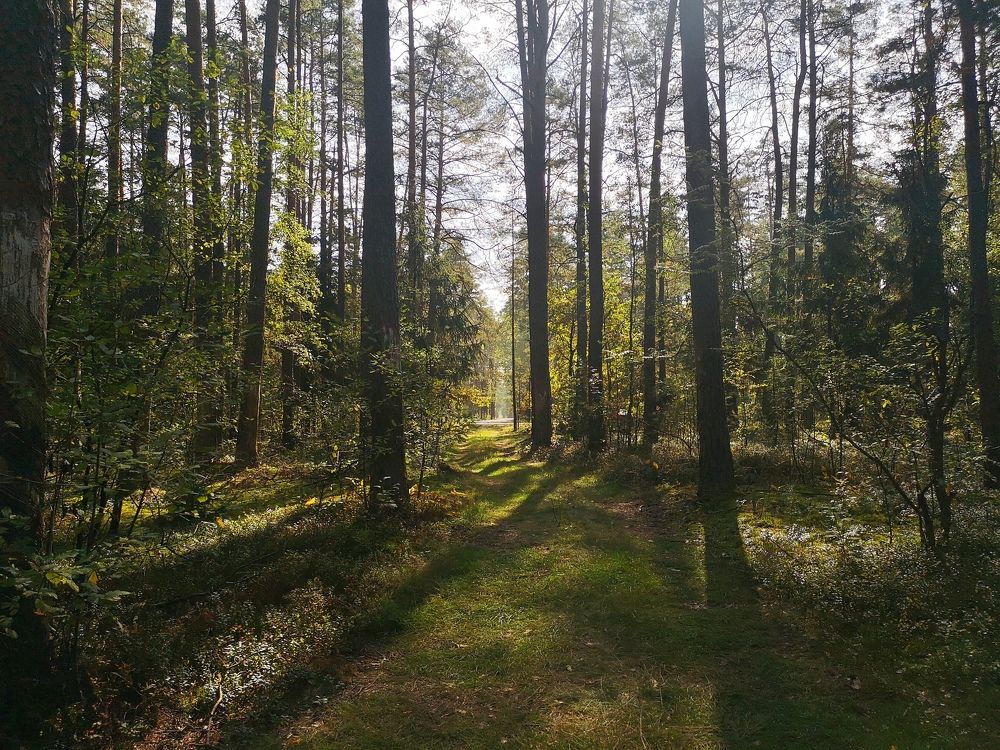 Photograph by Екатерина