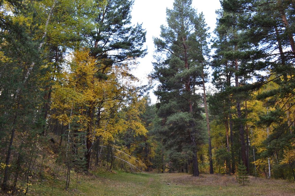 Фотография автора Андрей Хлопонин