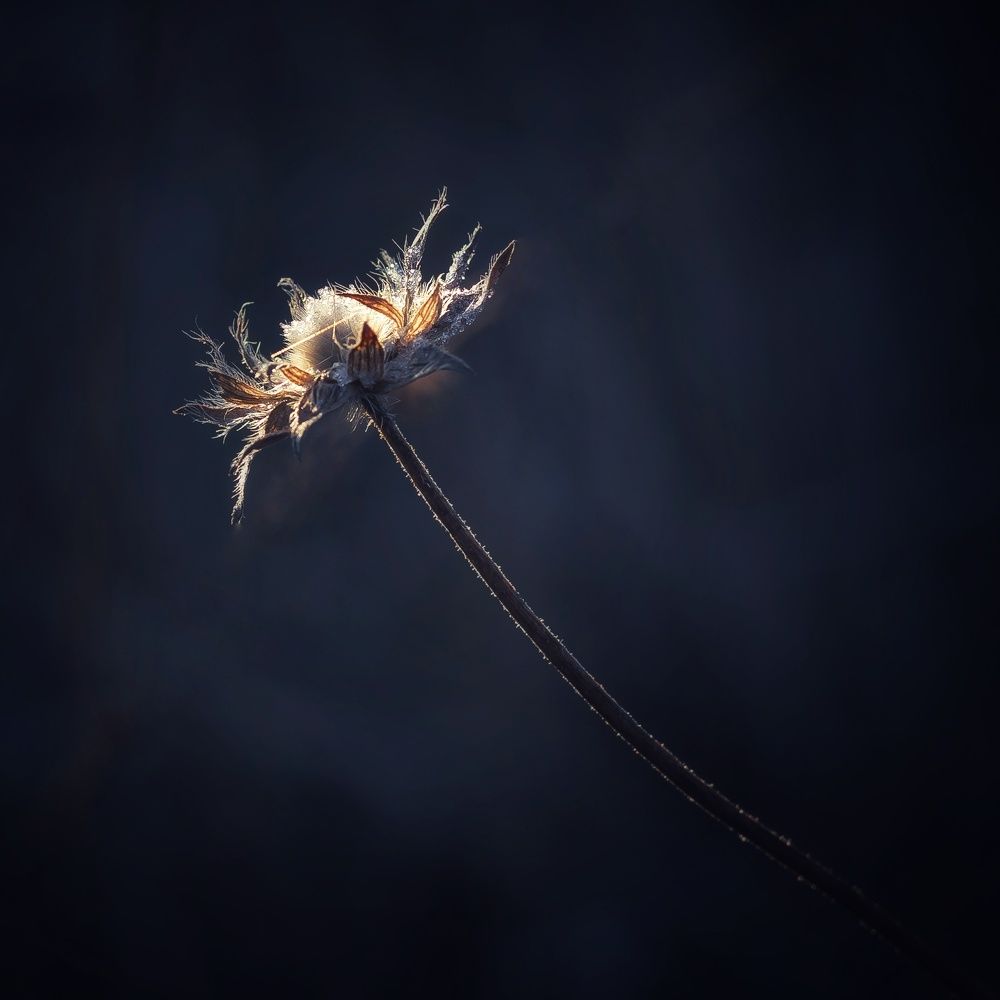 Photograph by Ольга Саенко