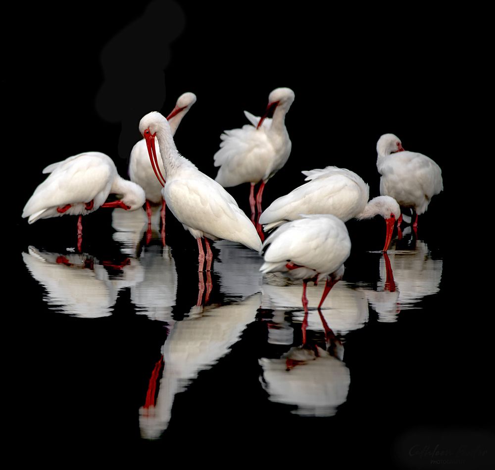 Photograph by Cathleen Bester