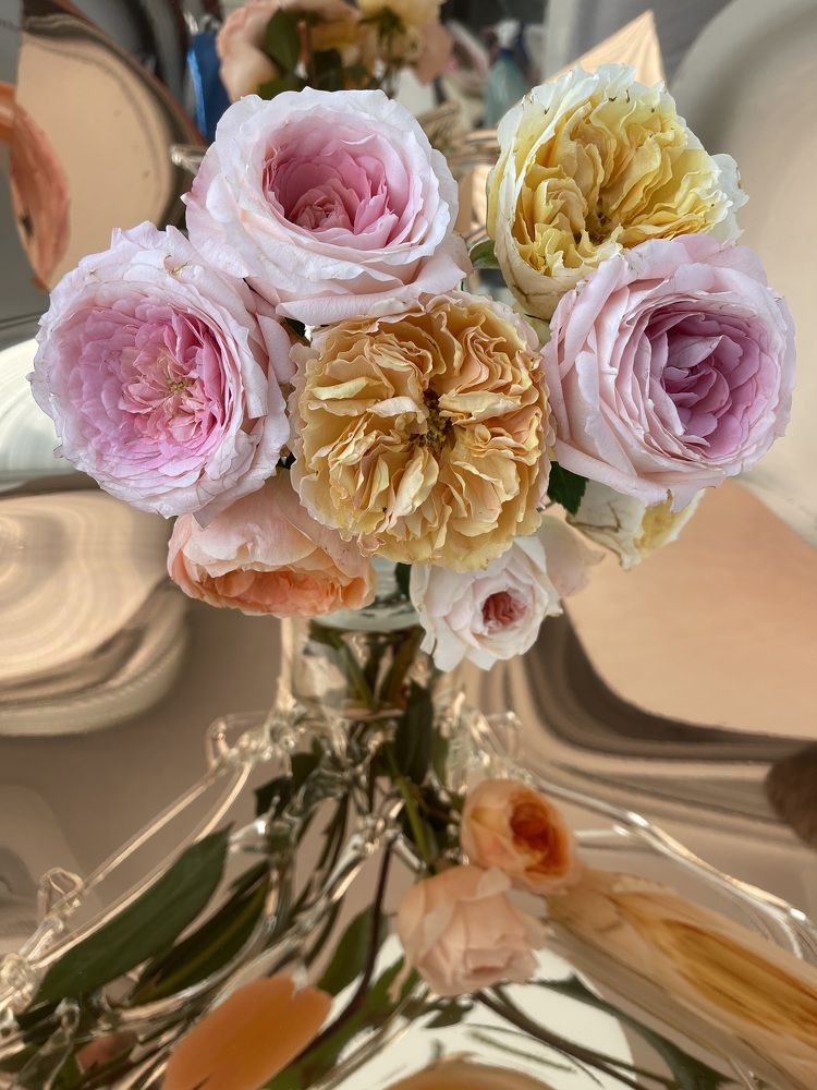 Photograph by Raisa Belova