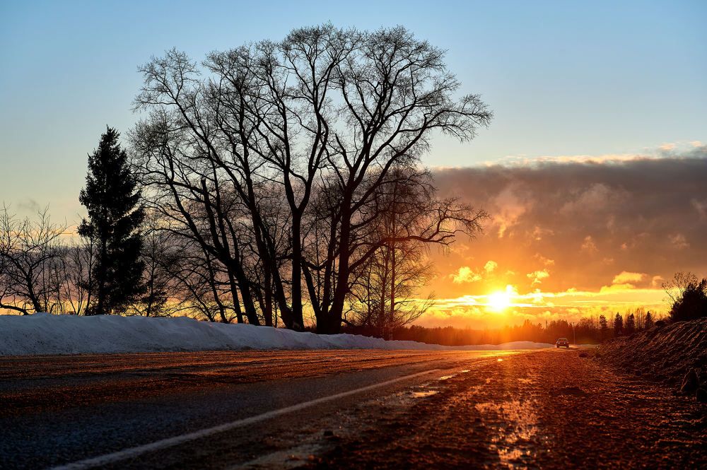 В лучах заката