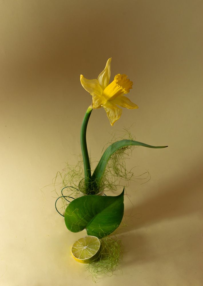 Photograph by Aušra Peciuriene