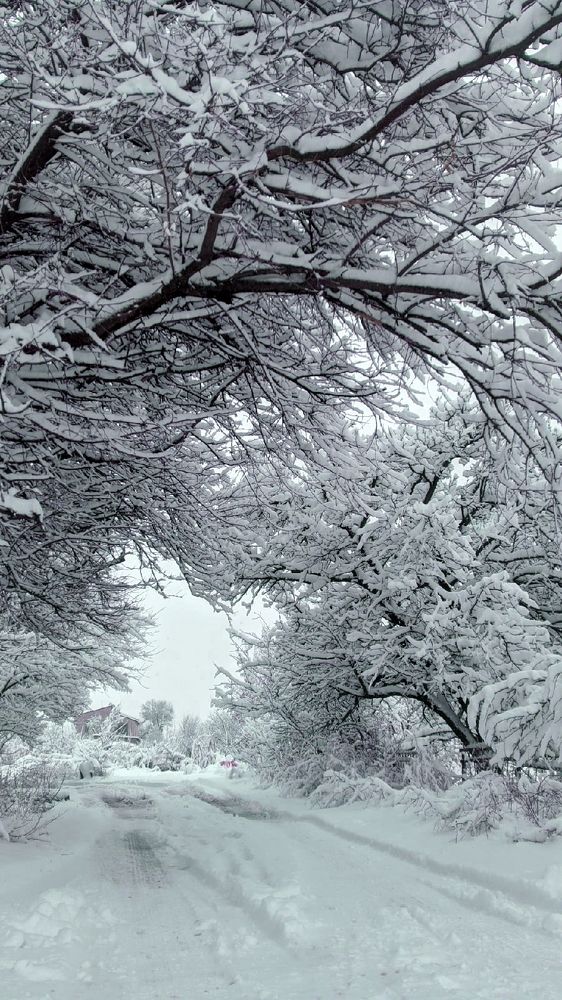 Photograph by Юлия Кононова