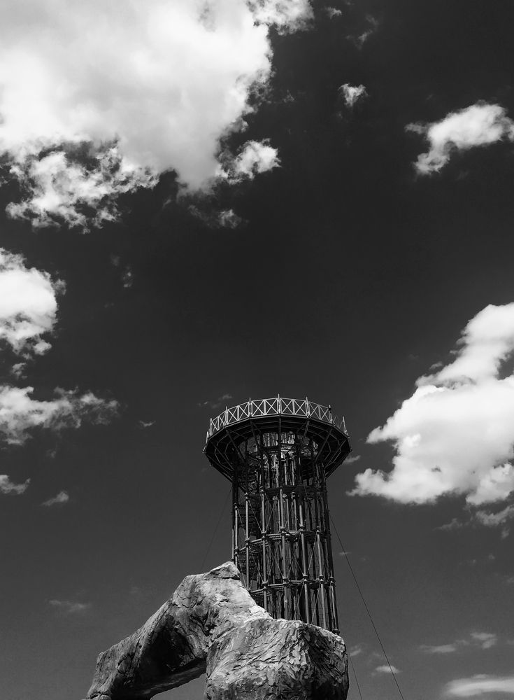 Photograph by Ольга