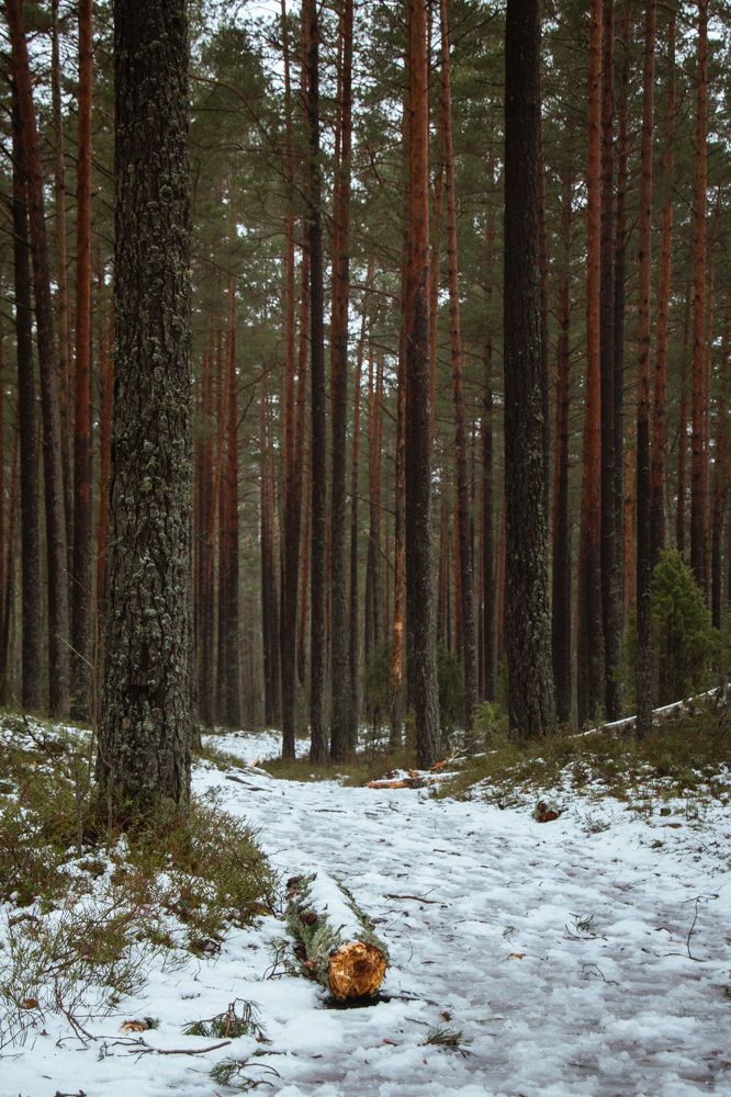 Photograph by RelaxWolf