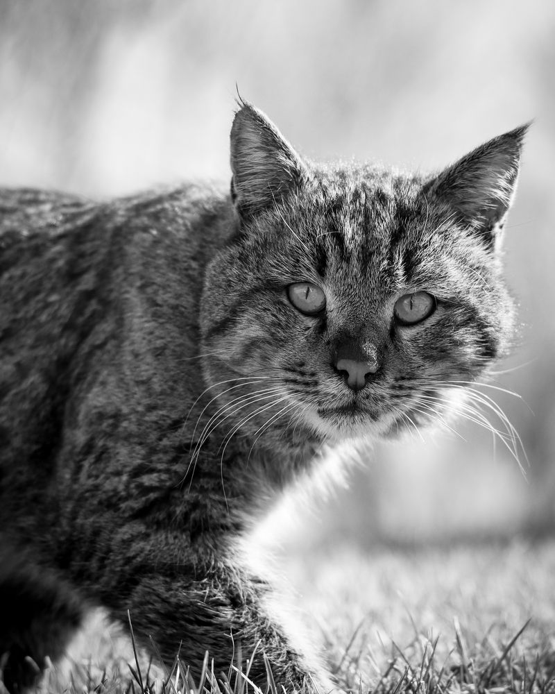 Photograph by Erfan Jahanbazi