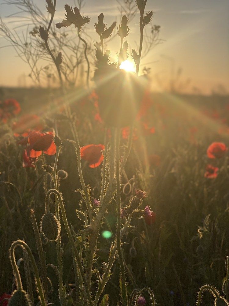 Photograph by Наталия Чайка