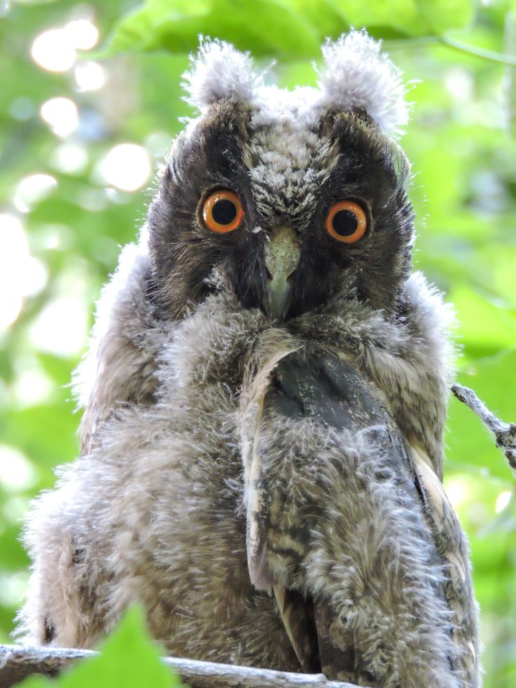 Photograph by Игорь Степанов