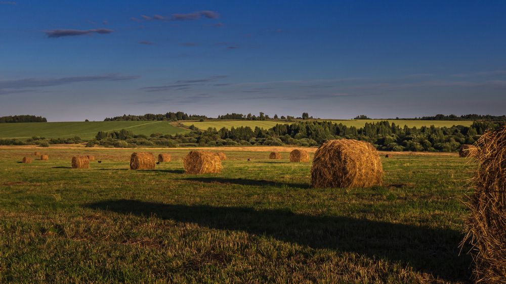 ВЕЧЕР В ПОЛЕ