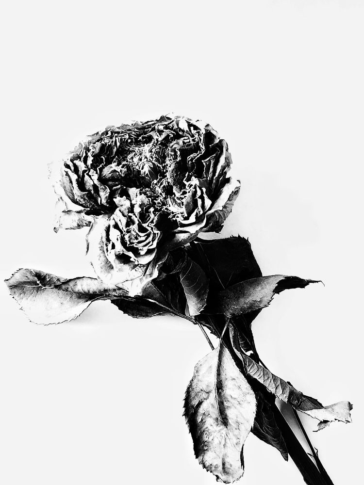 Photograph by Инесса Громова