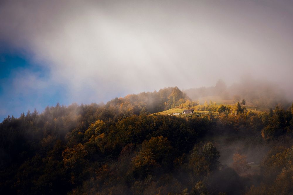 Photograph by Inga Cvijanovic