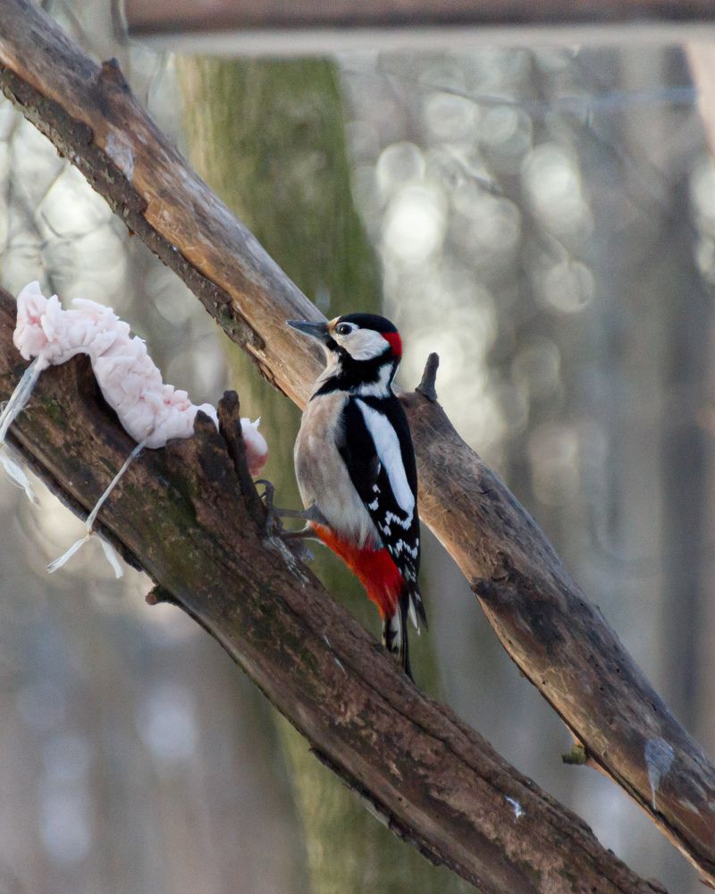 Photograph by Тихон Петров