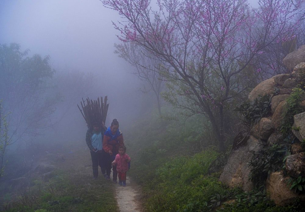 Фотография автора Đỗ Hà