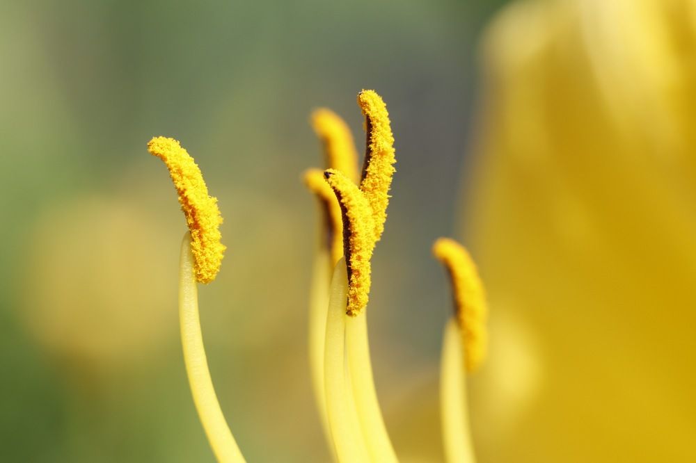 Photograph by Ольга Саенко