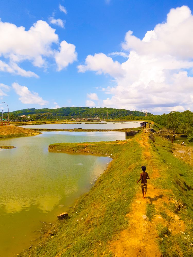 Photograph by Rezaul Sheikh