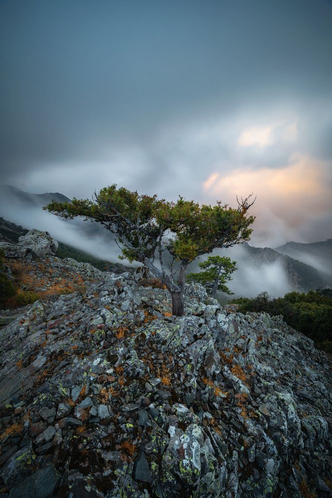 Photograph by Evgeni Fabis