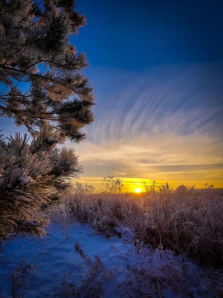 Photograph by Игорь Степанов