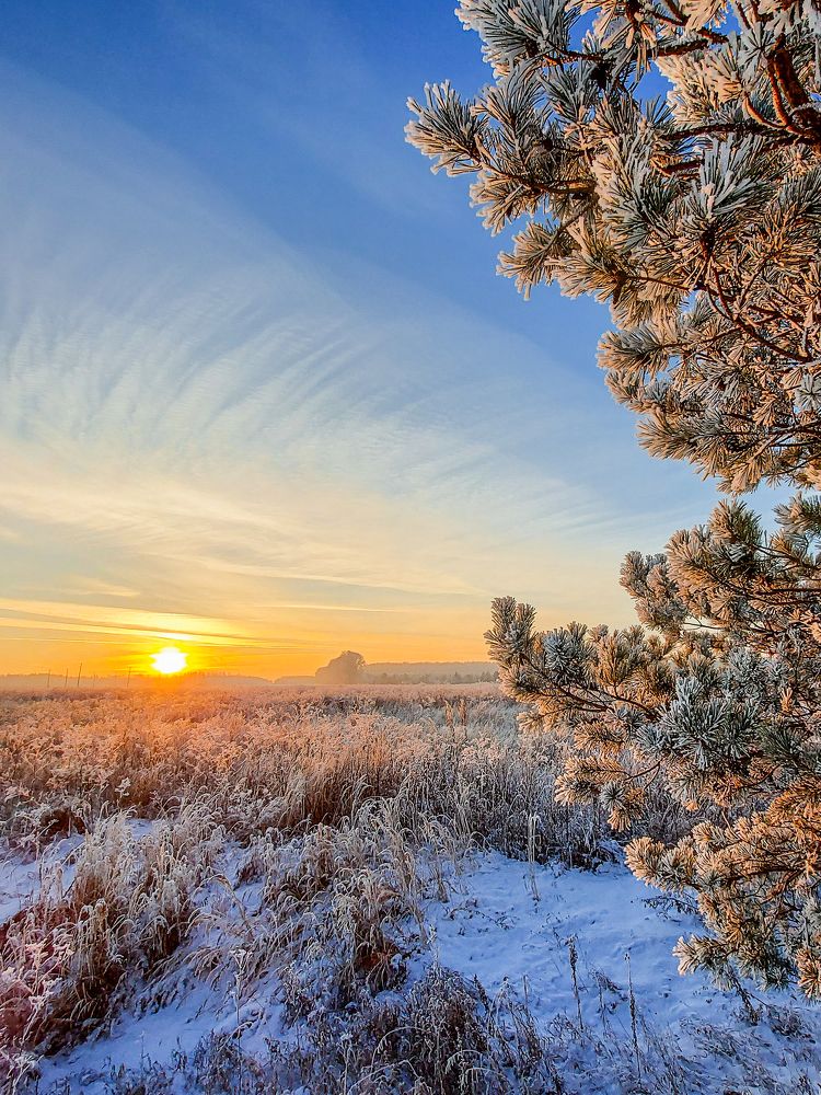 Photograph by Игорь Степанов