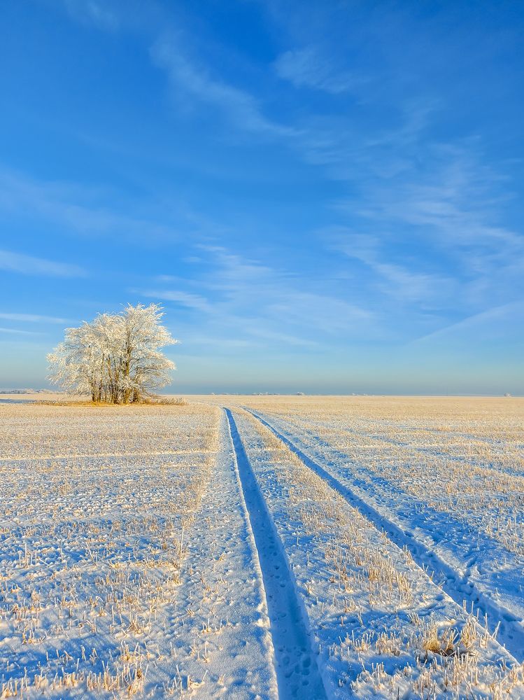Photograph by Игорь Степанов