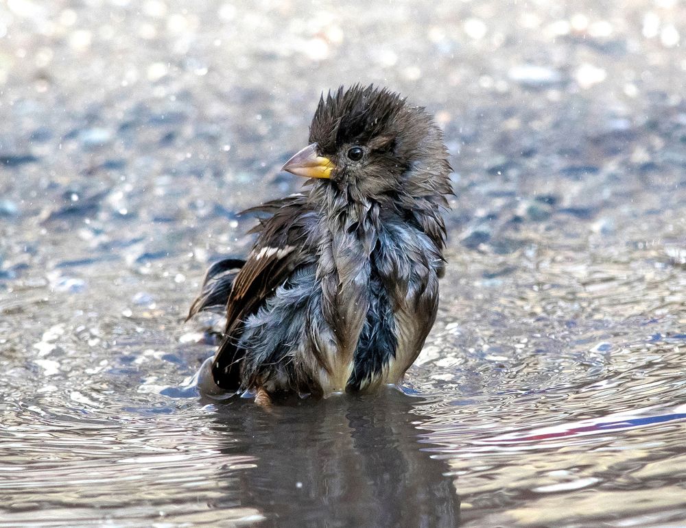 Я мороза не боюсь...