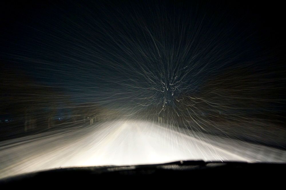 Фотография автора Дмитрий Градинар