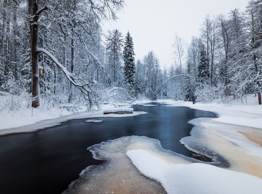 Фотография автора Дмитрий Дроздов
