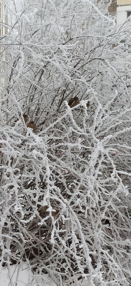 Photograph by Татьяна Мирошникова