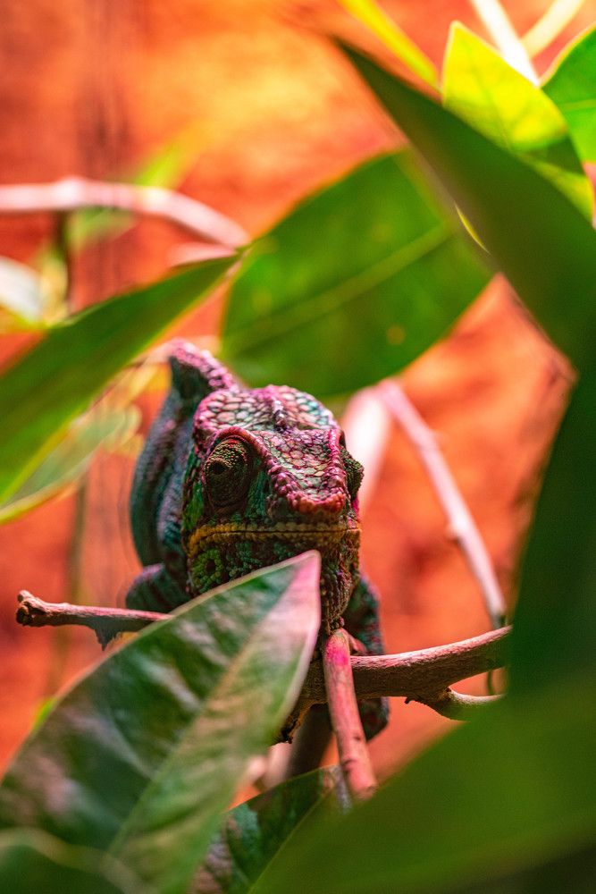 Photograph by Денис Гуляев