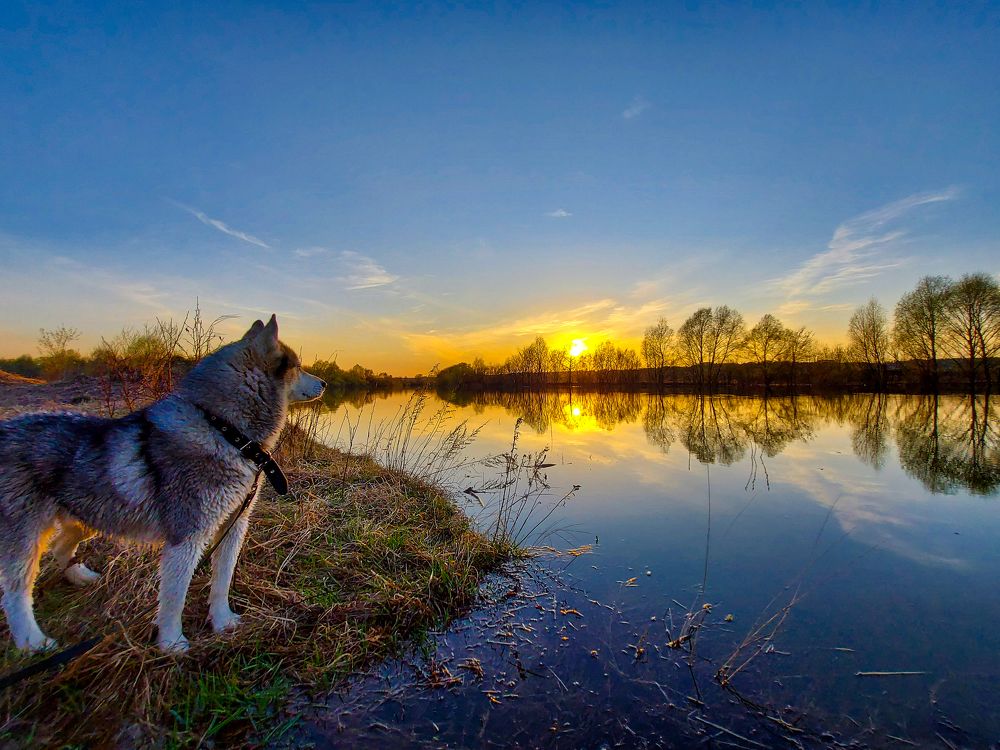 Photograph by Игорь Степанов