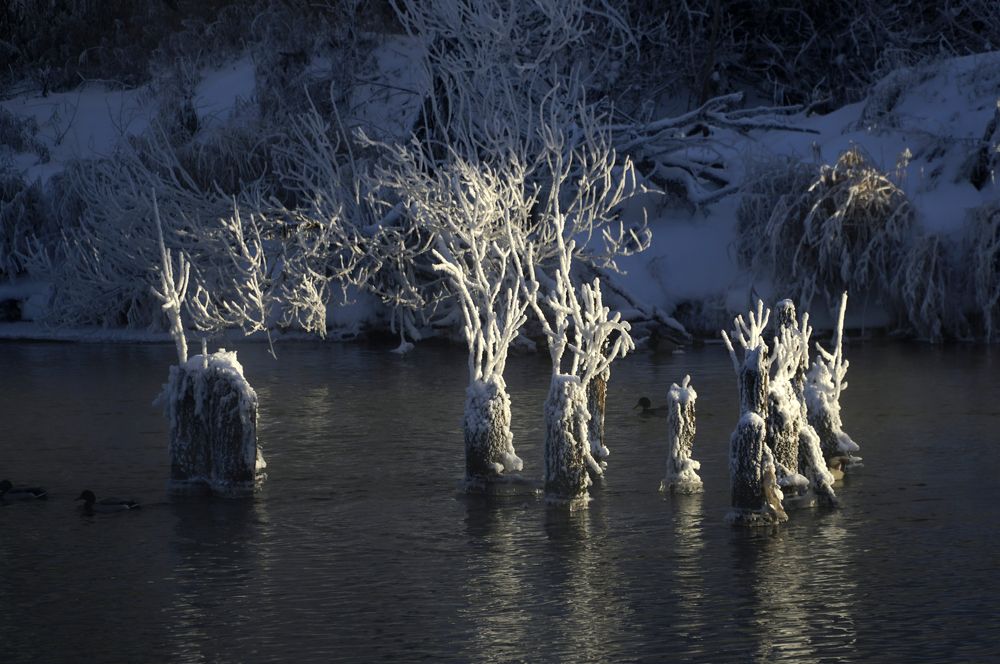 Photograph by Измаил Ефимов