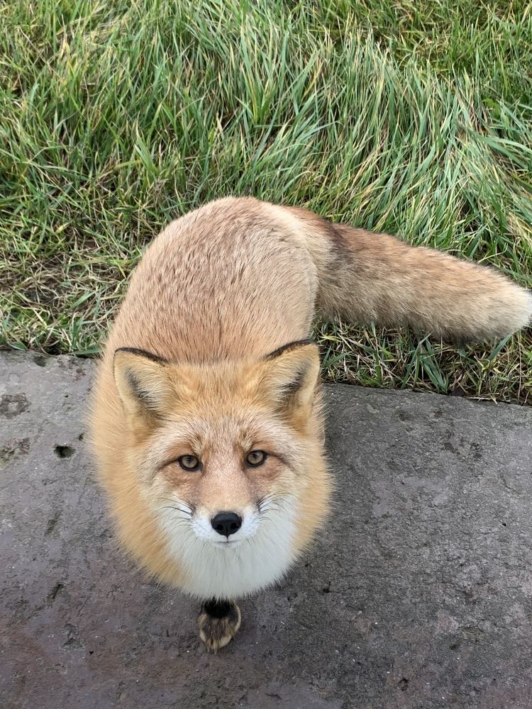 Photograph by Лазурченко Анастасия