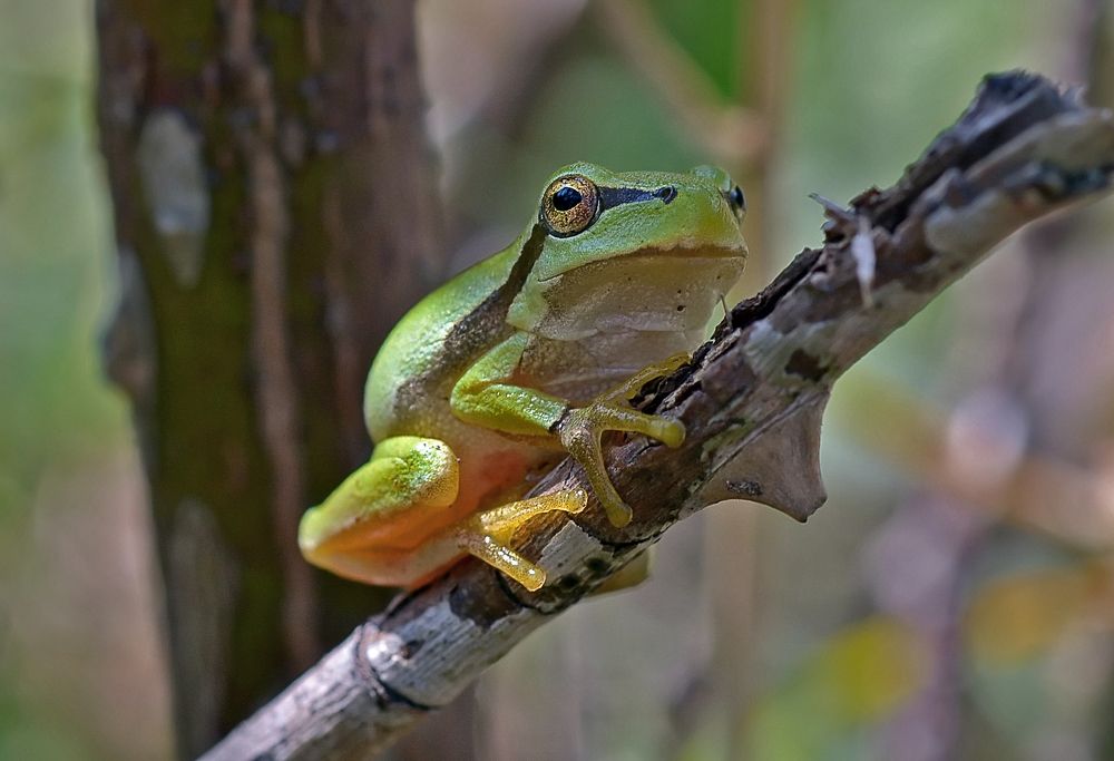 Photograph by Михаил Колтухов