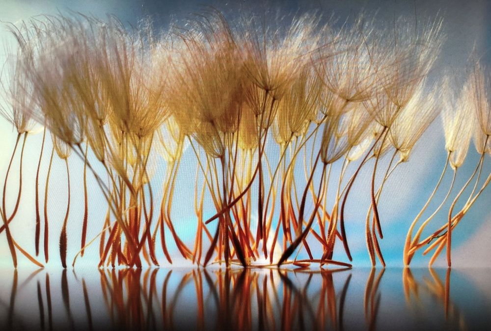 Привет теплого лета… или туземцы просят дождя