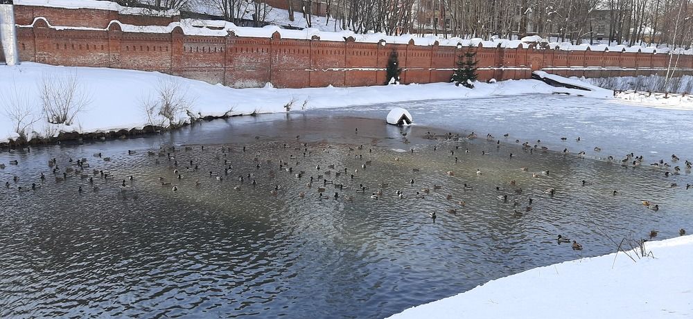 Photograph by Александр Аведов