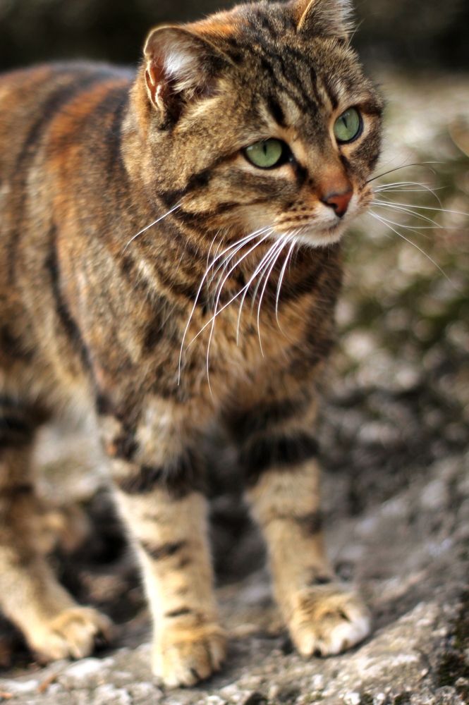 Photograph by Татьяна Долгушева