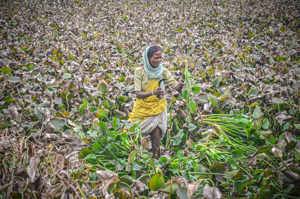 Photograph by Manotosh Parta