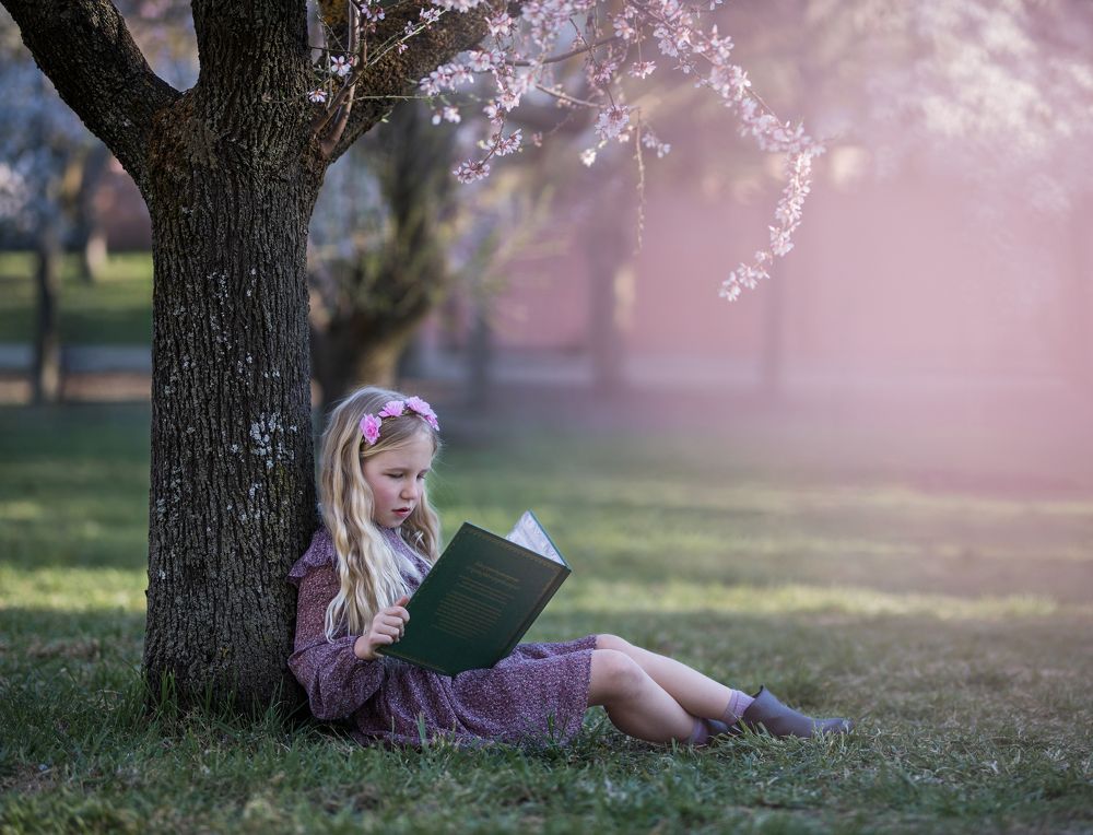 Photograph by Mihaela