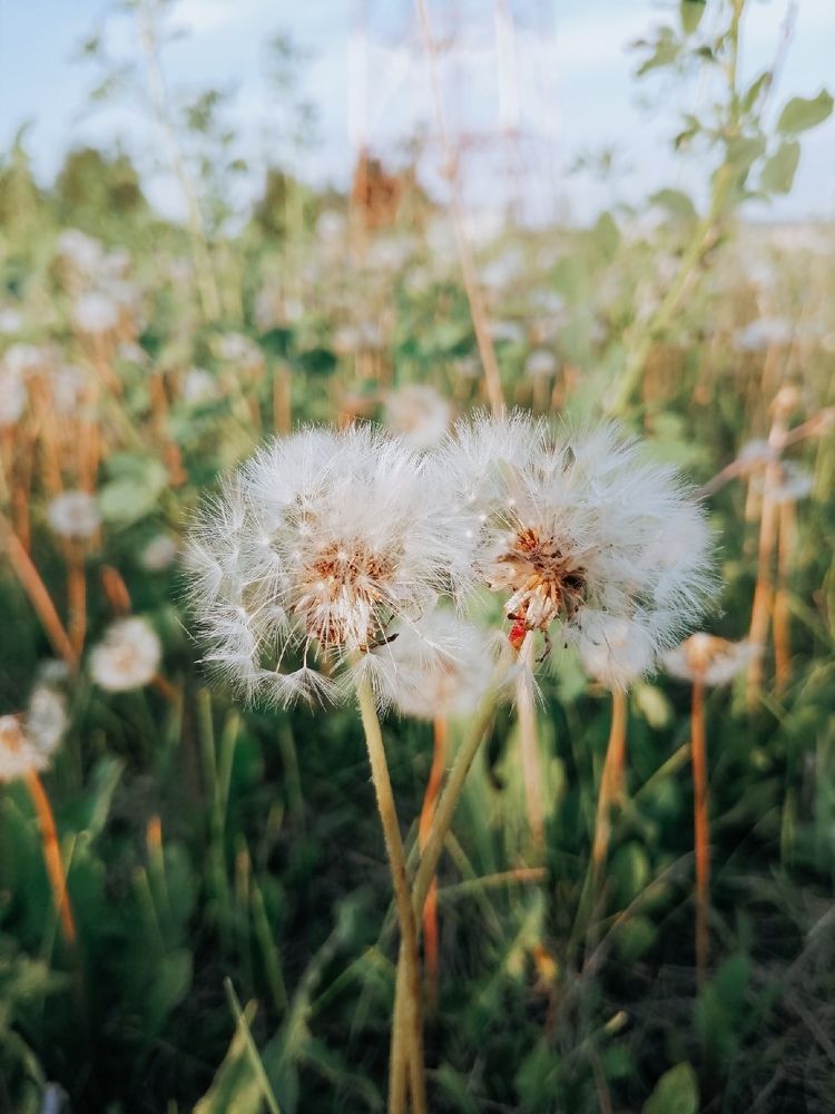 Photograph by Алсу