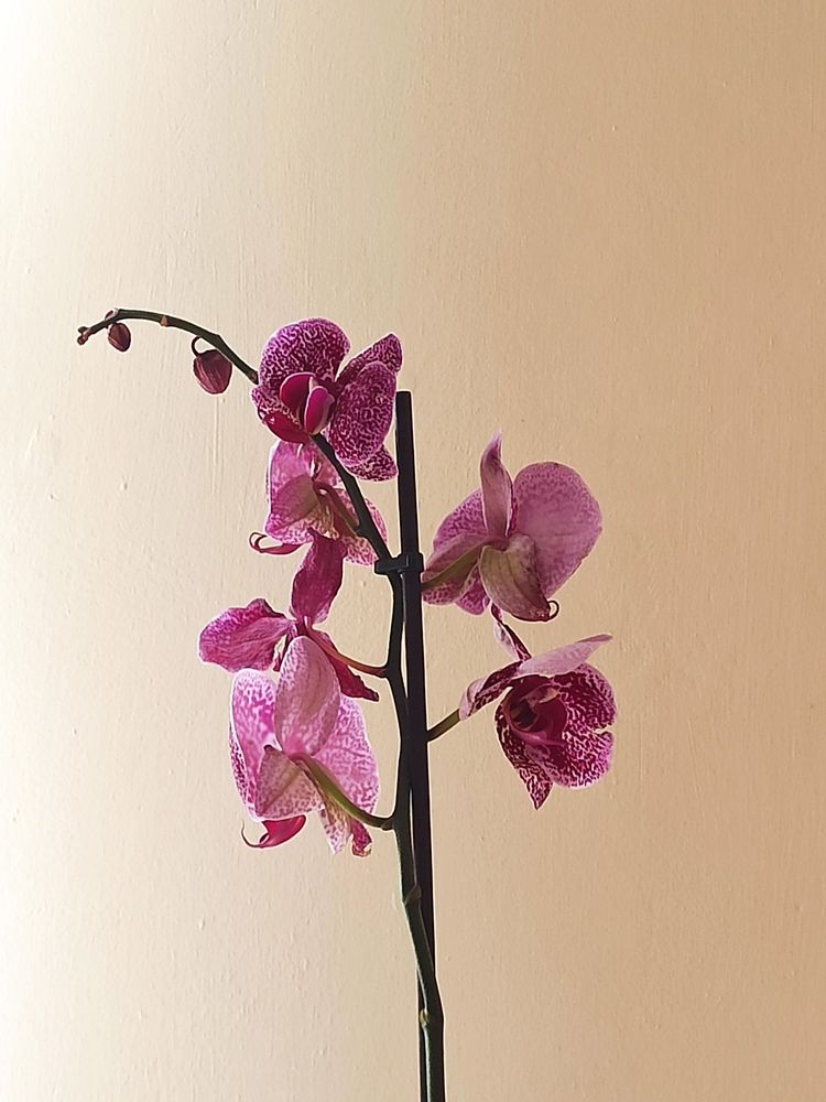 Photograph by Татьяна Долгушева