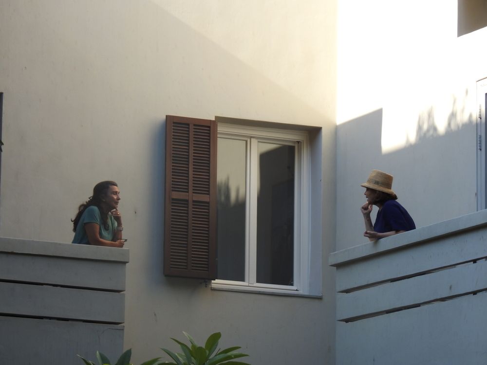 Беседа соседей