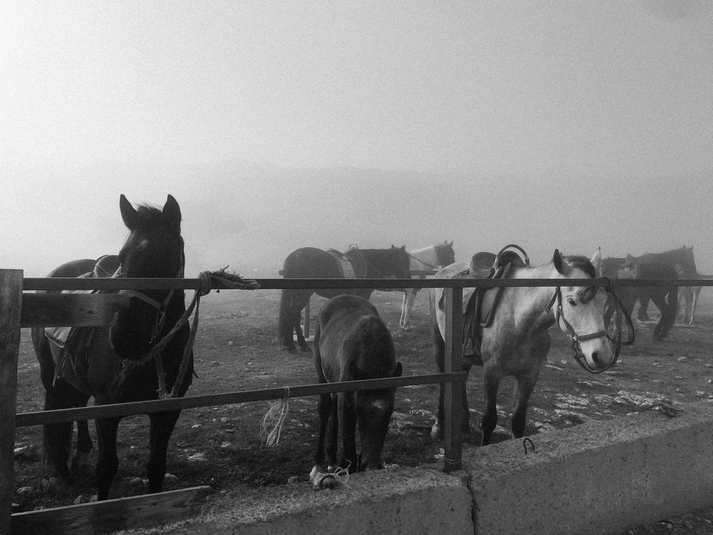 Photograph by Екатерина Зайкина