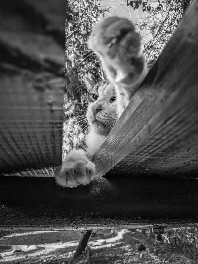 Photograph by Георгий Акопджанов