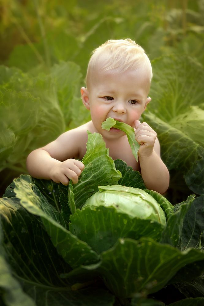 Фотография автора Регина Гущина