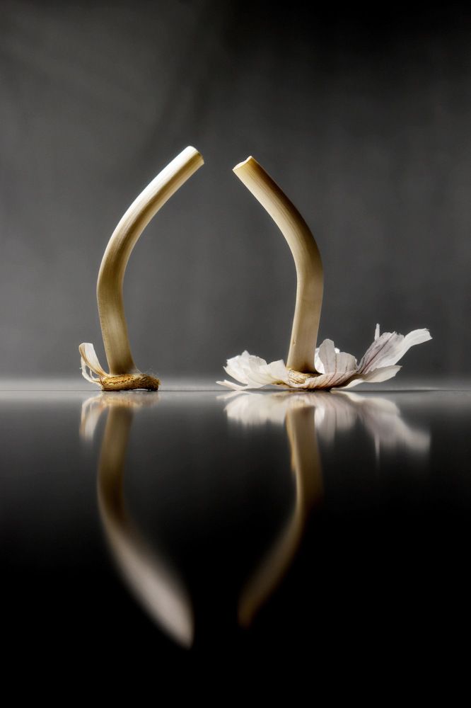 Photograph by Татьяна Золотарева