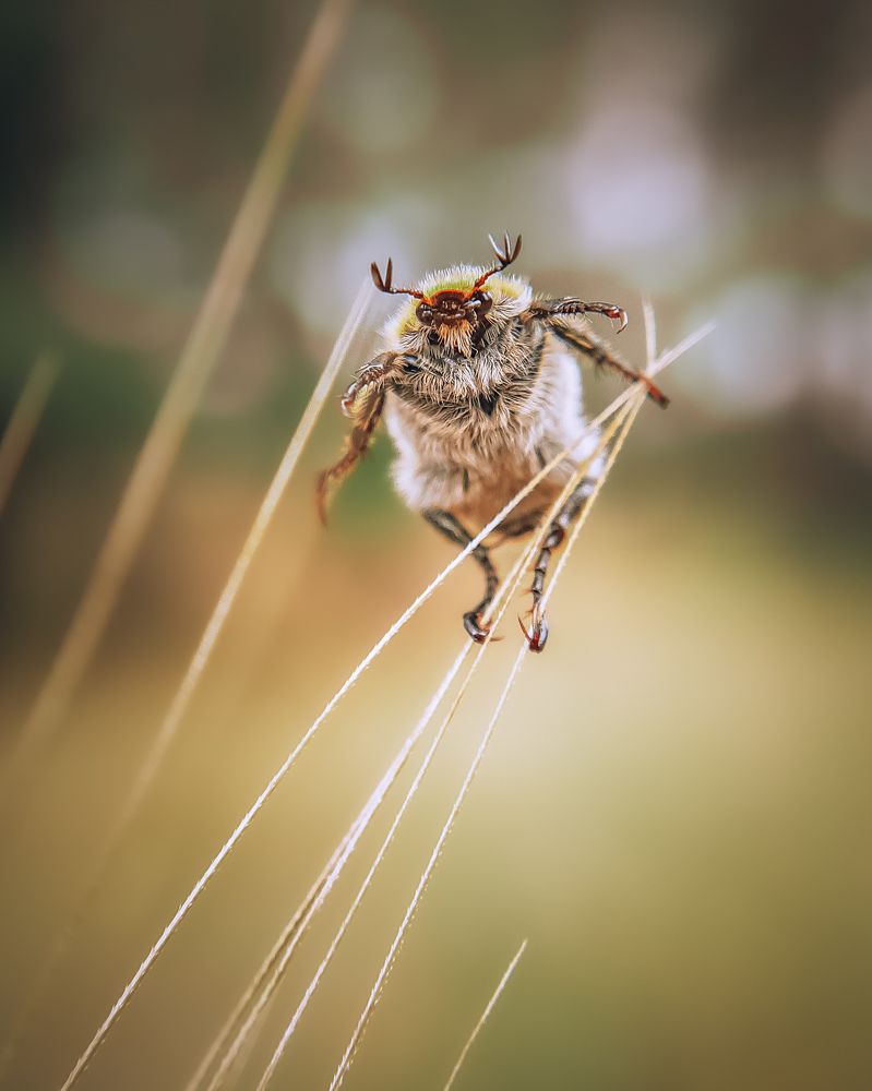 Photograph by Сергей Колос